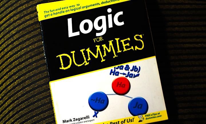 This is the book that started it all: Logic for Dummies by Mark Zegarelli. Originally bought at a Borders bookstore back in 2009, this was the book that pushed us into loving all things mathematics!