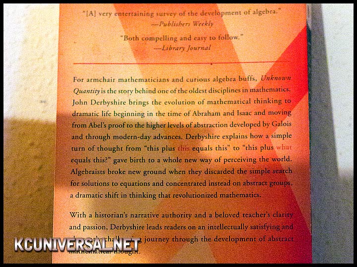 Unknown Quantity paperback (back)