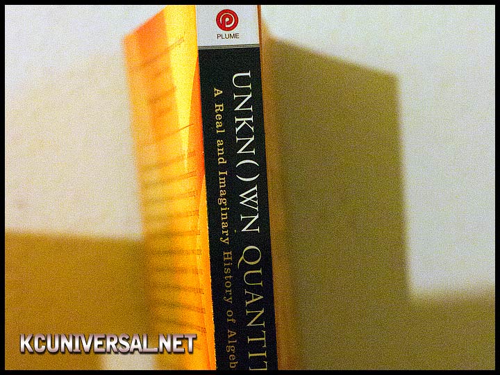 Unknown Quantity paperback (spine)